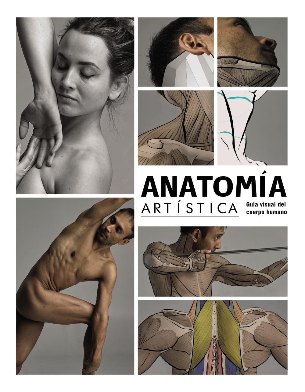  Anatomía artística (Spanish Edition): 9788425228988:  Lauricella, Michel: Libros